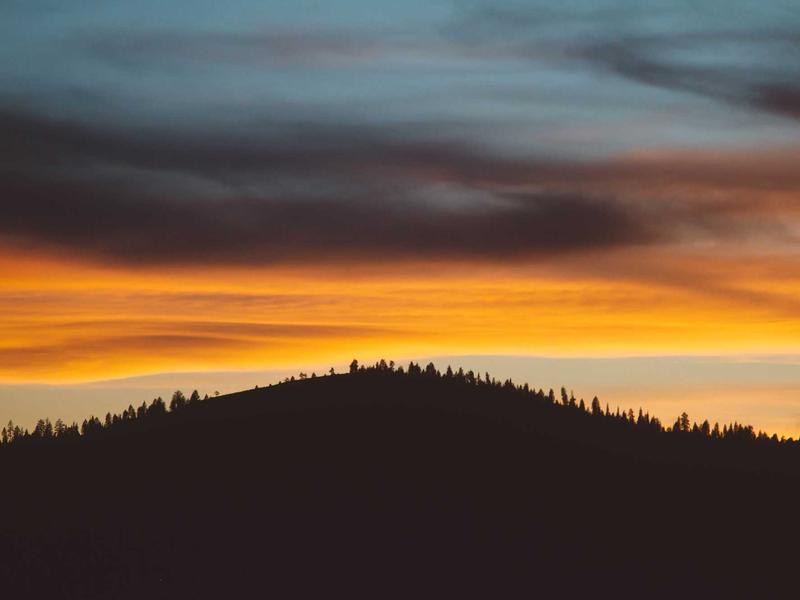 诗经草木疏<br>qyj7eqo.cn 蒹葭苍苍白露